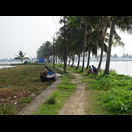 In den Backwaters